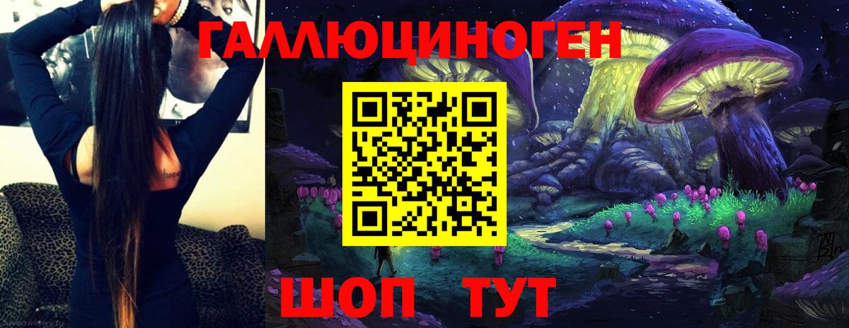 Кудрово  Галлюциногенные грибы мицелий  Вход с VPN 
