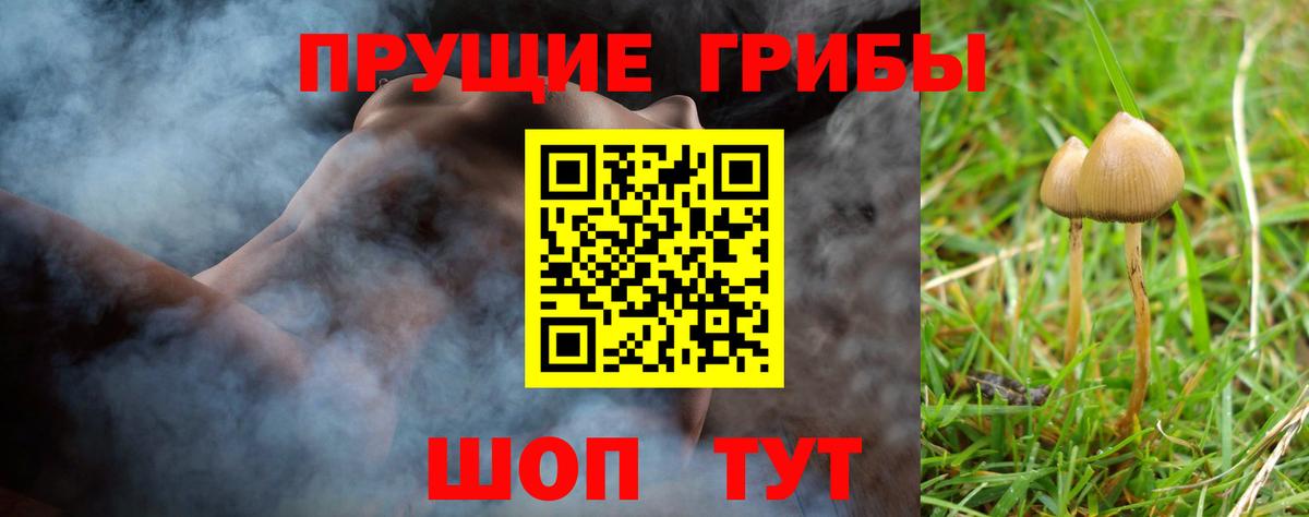 Галлюциногенные грибы Psilocybine cubensis Кудрово
